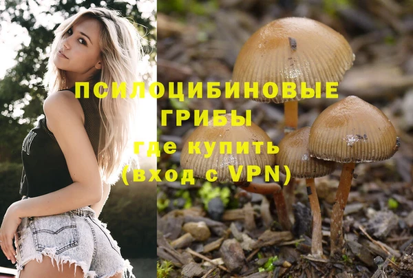твердый Баксан