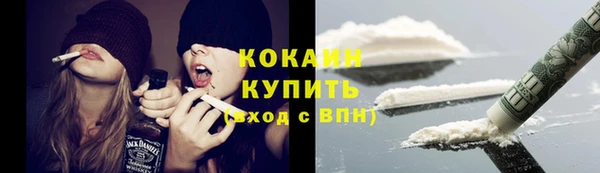 шишки Балахна