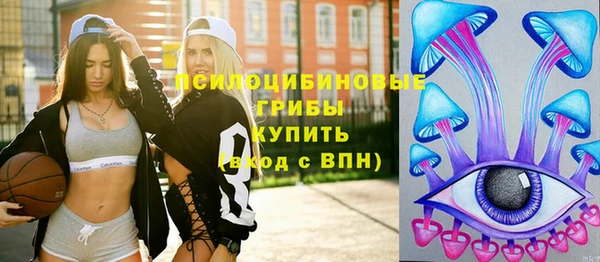 шишки Балахна
