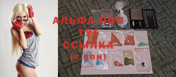 шишки Балахна
