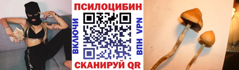Галлюциногенные грибы прущие грибы  как найти   Губаха 